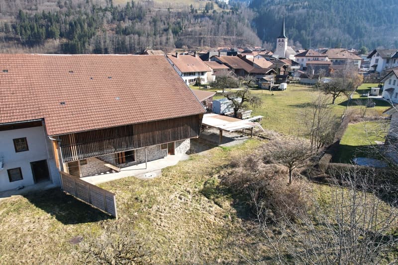 Dans ferme rénovée appartement neuf de 4,5 pces (3)