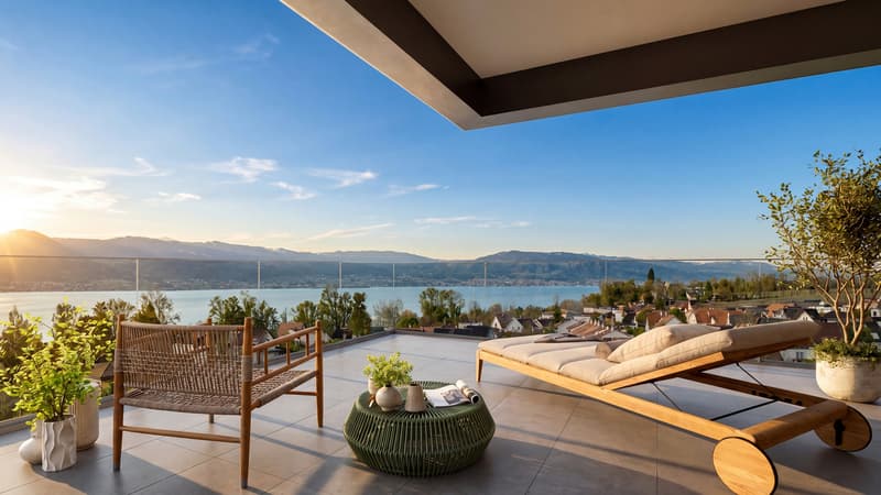 Magnifique appartement de 4.5 pces (10)