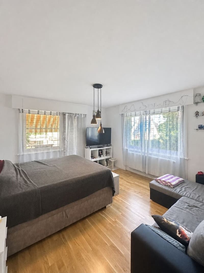 Appartement de 4,5 pces récemment rénové (4)