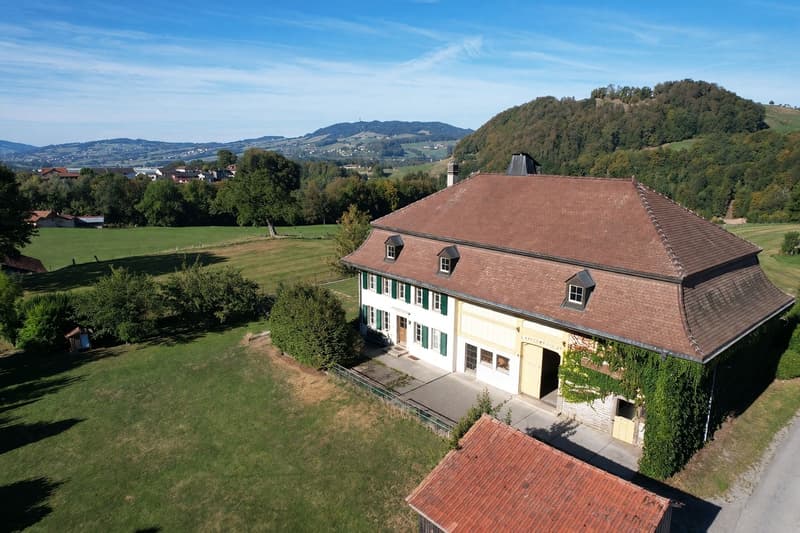A vendre Magnifique propriété La Roche (1)