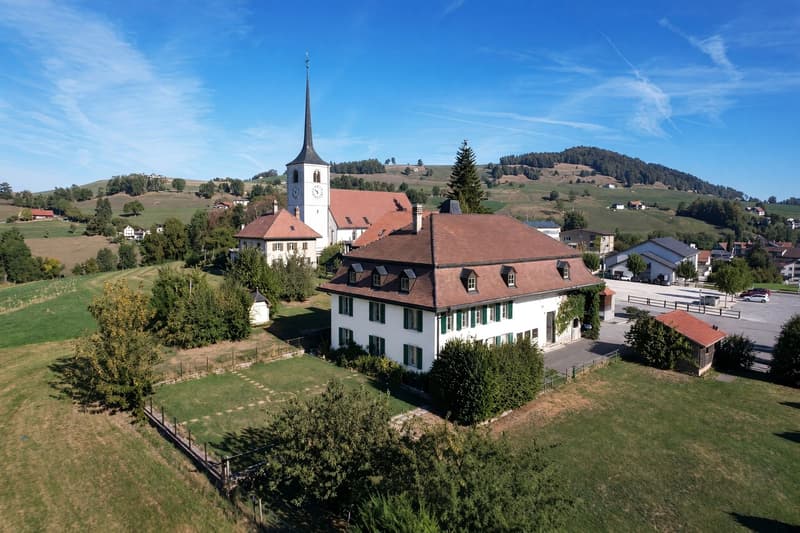 A vendre Magnifique propriété La Roche (2)