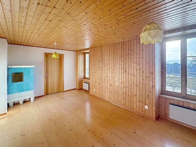 A vendre Magnifique propriété La Roche (5)