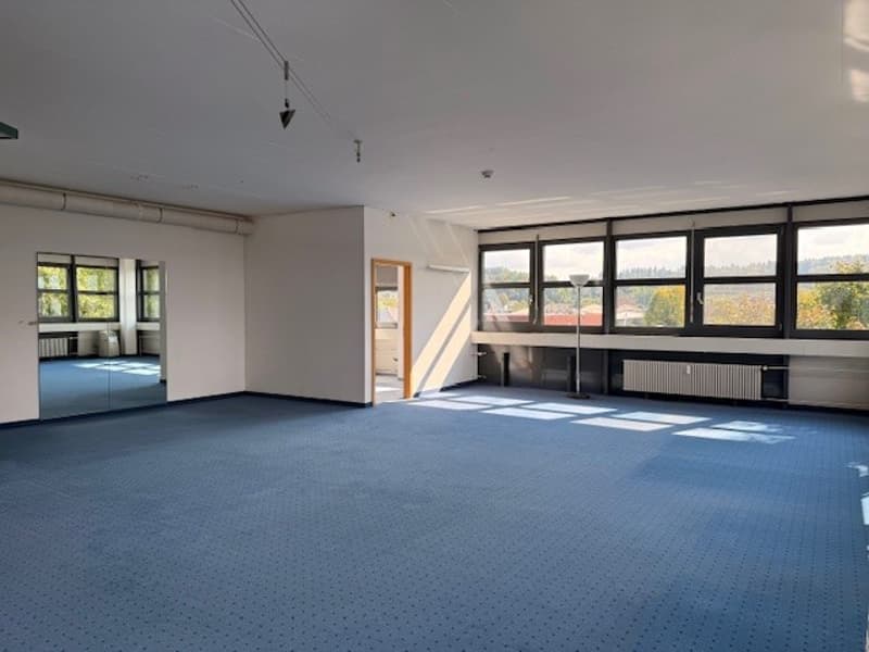 empty room, white walls, blue carpet, large windows, radiator, doors