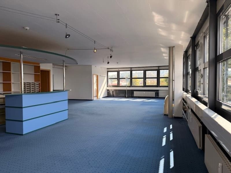 Empty room, blue carpet, white ceiling, large windows, radiators