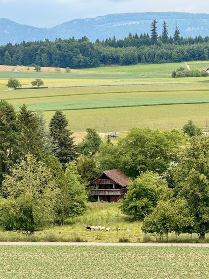 Moderne Eigentumswohnung in Lüterkofen (SO), nahe Bern und Solothurn (7)
