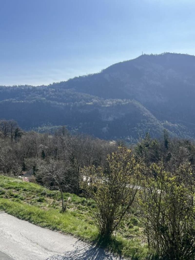 Terreno a La Place (Ayent) (6)