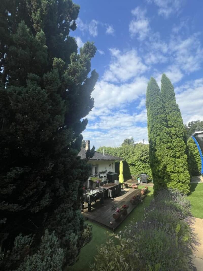 Villa individuale 5.5 locali a Grimisuat (2)