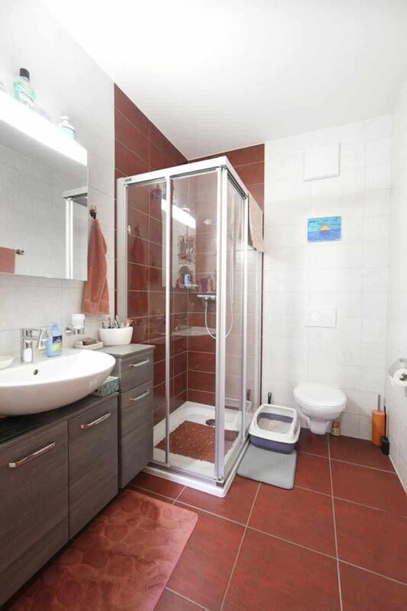 Beautiful apartment (7)