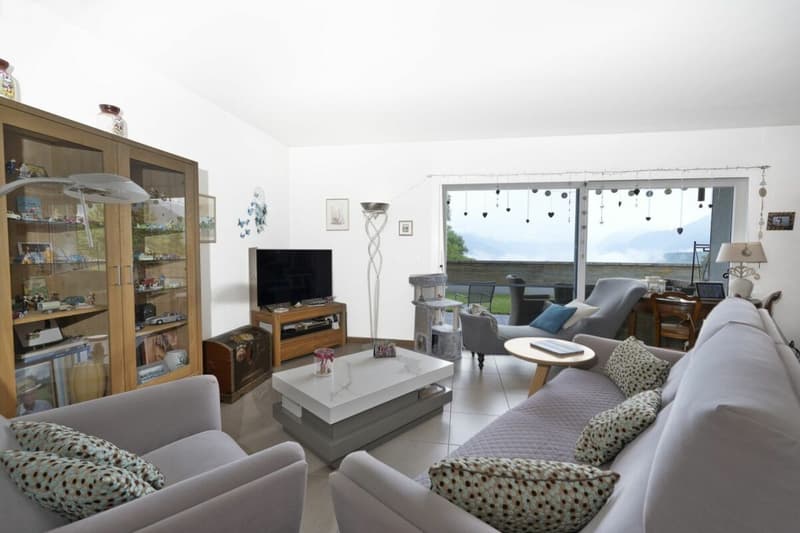 Beautiful apartment (3)