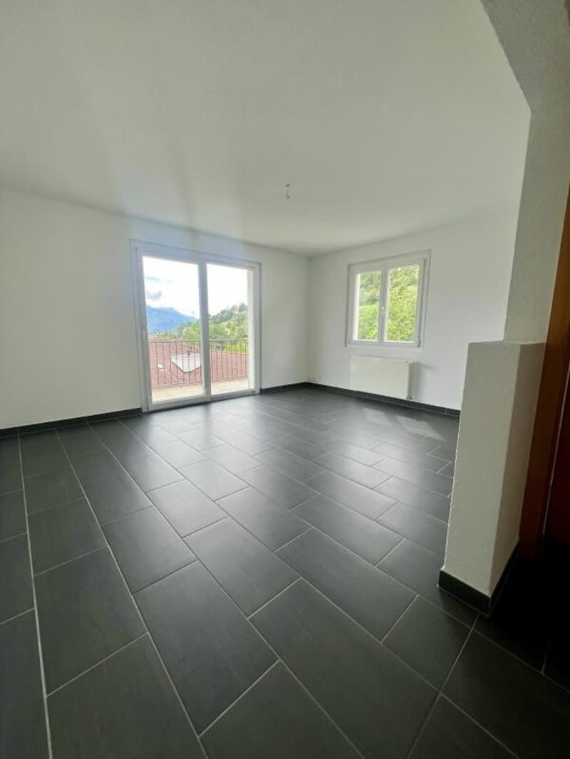 3.5 pieces renovated (3)