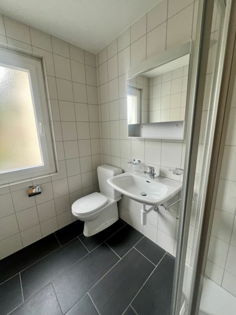 3.5 pieces renovated (4)
