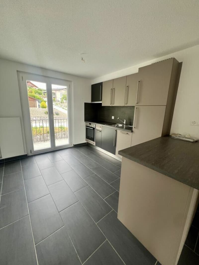 3.5 pieces renovated (2)