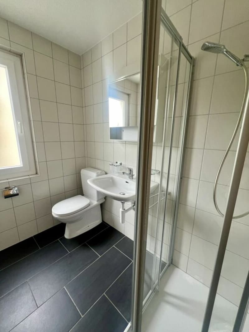3.5 pieces renovated (6)