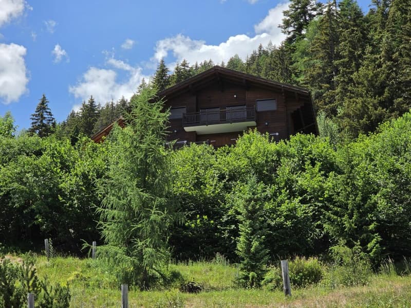 Schönes Chalet in der Natur (2)