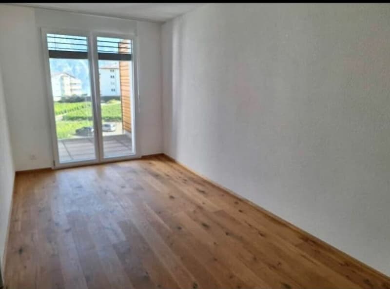 Bright Apartment (5)
