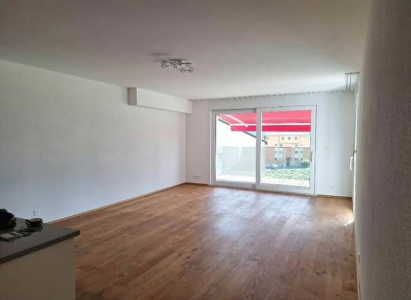 Bright Apartment (4)