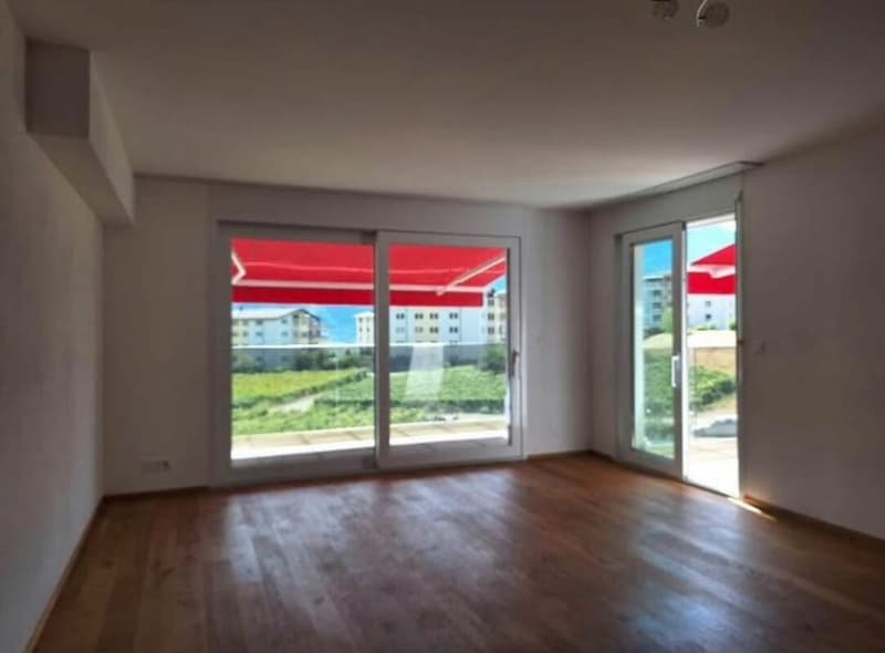 Bright Apartment (3)
