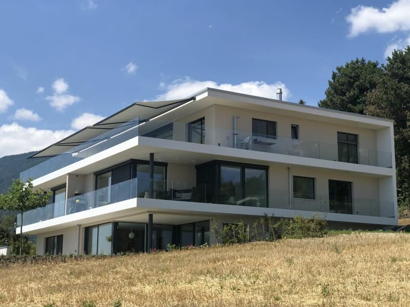 Exklusive möblierte 3.5-Zimmer-Smart-Home-Wohnung mit Weitblick (2)