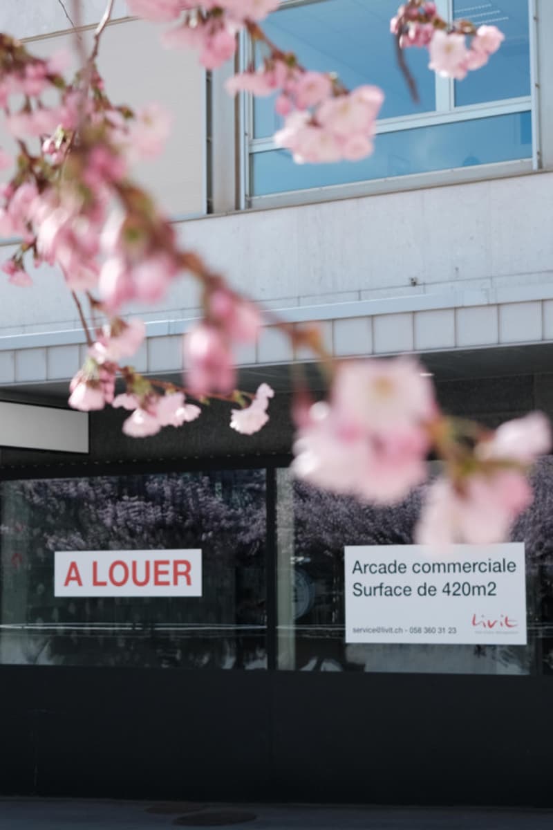 Devenez la vitrine d'un quartier vivant (8)