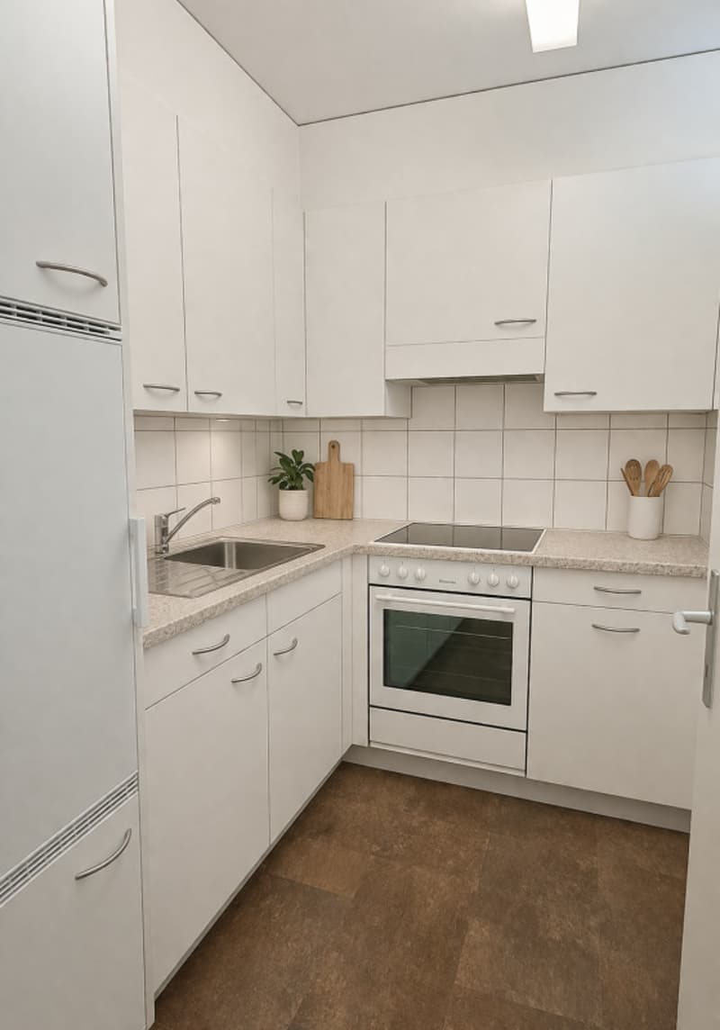 SIERRE - Charming 2.5 rooms with sunny terrace (5)