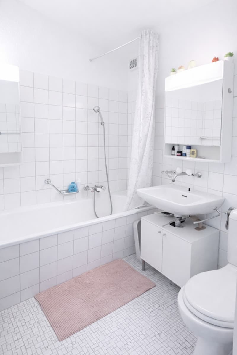SIERRE - Charming 2.5 rooms with sunny terrace (3)