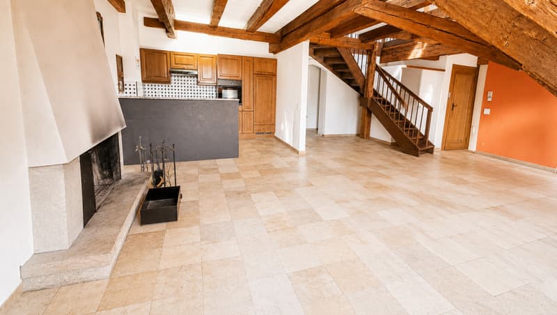 A vendre au coeur de la Vieille Ville de Fribourg un magnifique attique (3)