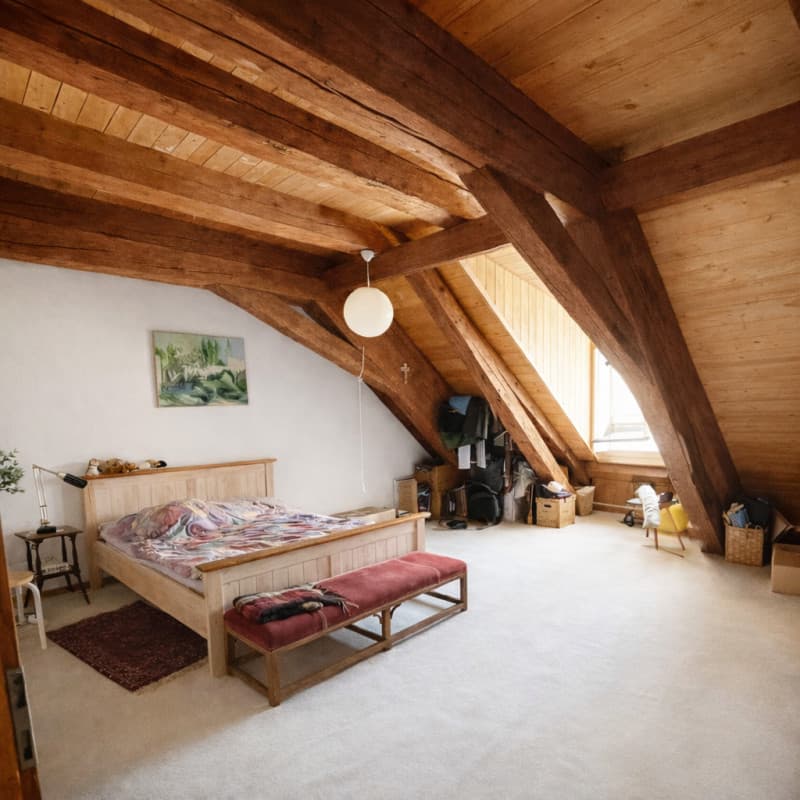 For sale in the heart of Freiburg's Old Town, a magnificent attic apartment (6)