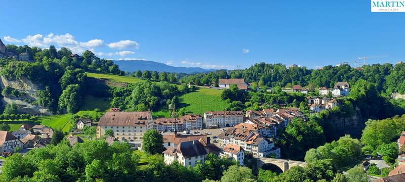 For sale in the heart of Freiburg's Old Town, a magnificent attic apartment (10)