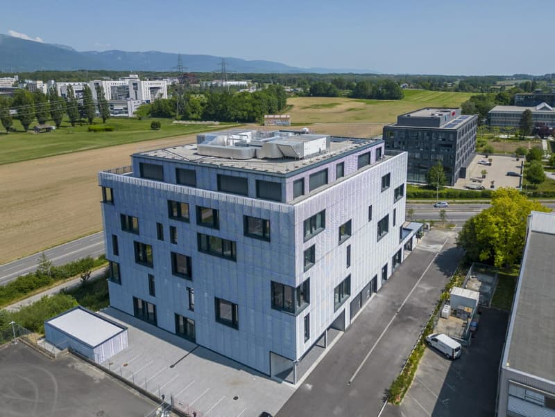766 m² di superficie di attività nel cuore di ZIMEYSA (1)