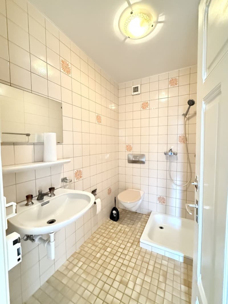4.5 pièces idéal bureaux ou habitation, proche gare, ascenseur (10)
