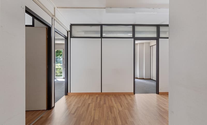 Eaux-Vives - Offices in the heart of a vibrant and strategic neighborhood (1)