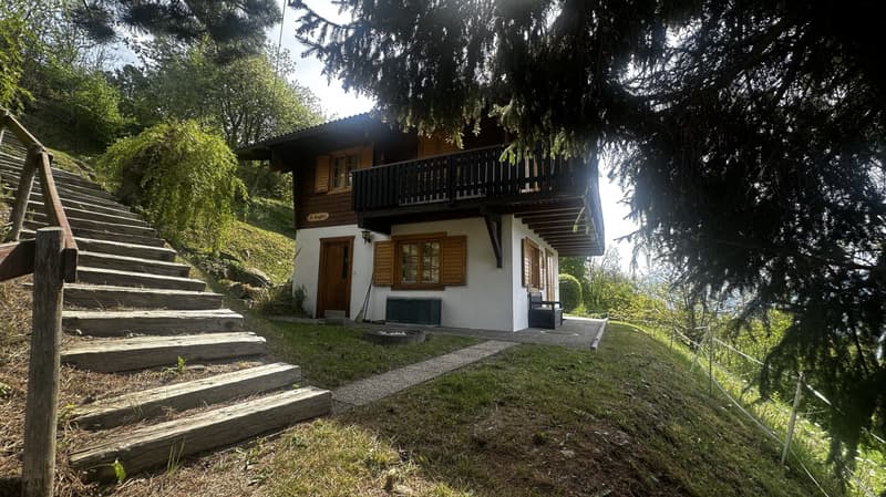 Splendid chalet close to all amenities to be seized! (3)