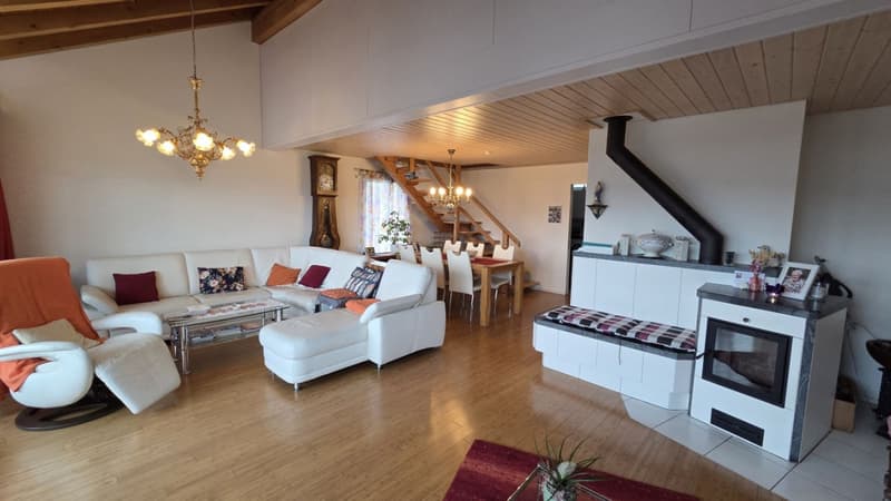 Living on two levels with evening sun and plenty of space (5)