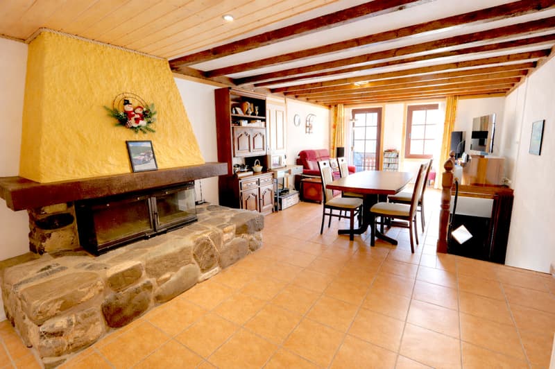 Village house with 5.5 rooms and mezzanine (4)