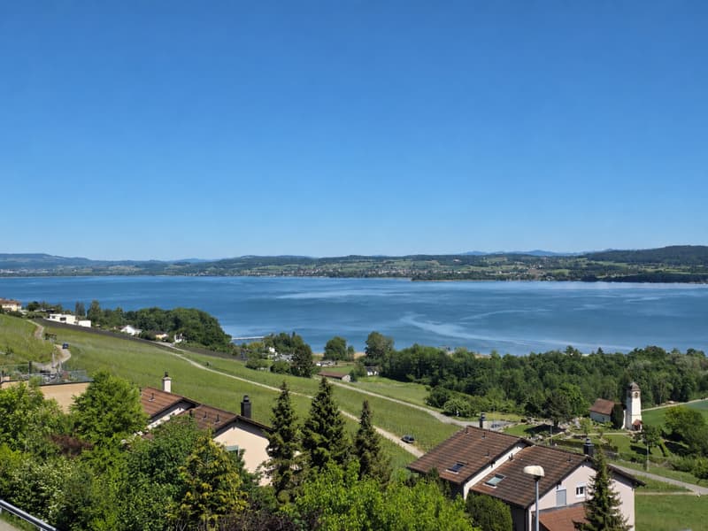 Attic apartment with 4.5 rooms and breathtaking view of the lake (1)