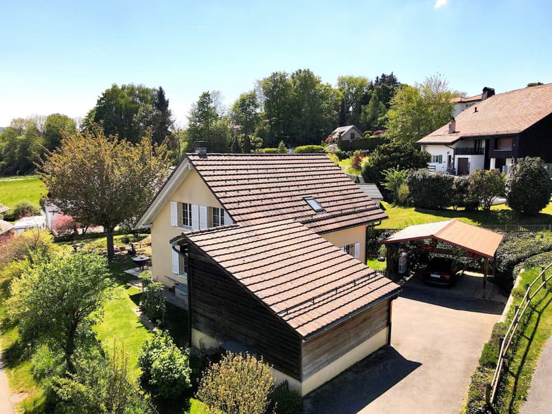 Einzelvilla mit 5.5 Zimmern im Zentrum des Dorfes (3)