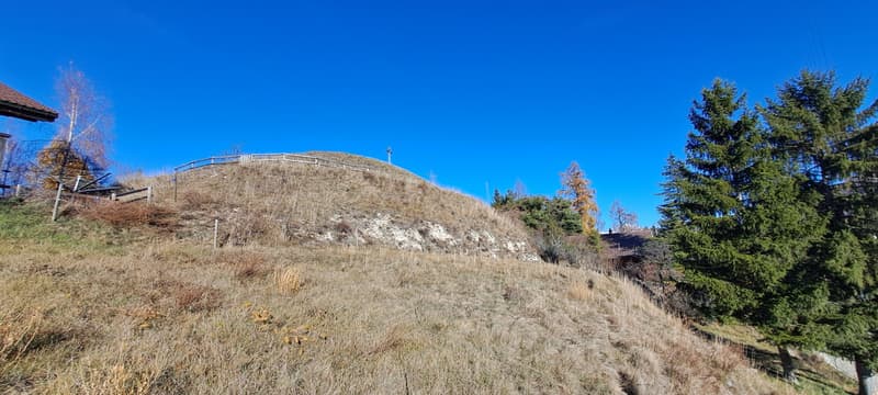 In vendita - Terreno a Nax (Pelleivro) - 1'377 m² - Zona chalet (4)