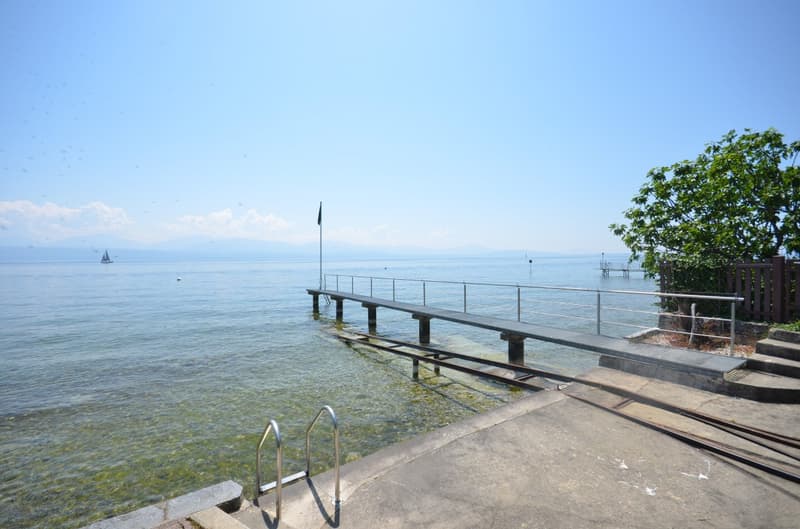 A property with two separate villas, direct access to the lake. (3)