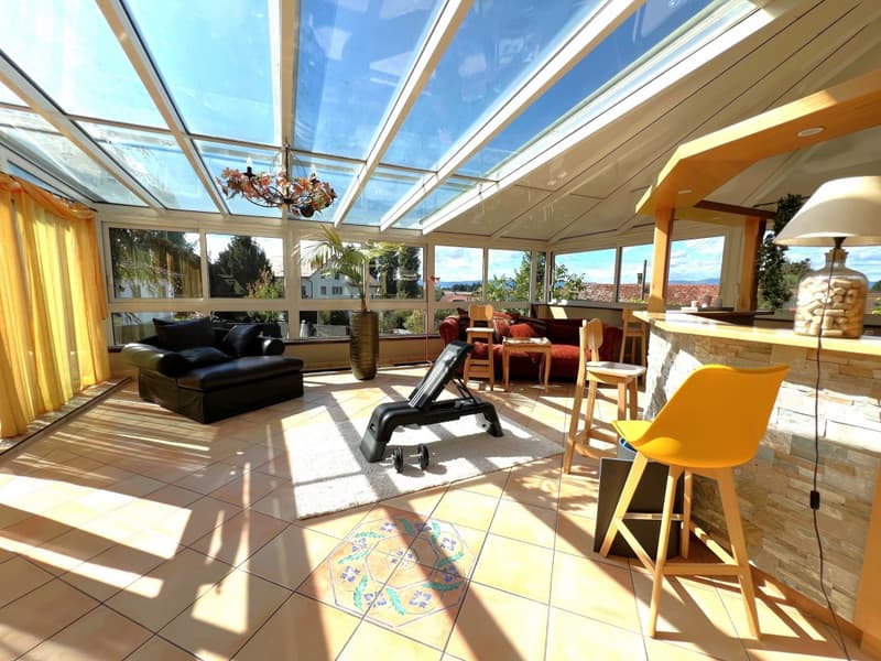 Magnificent Vaudois villa 9.5 rooms 280 m2 very bright pool and spa (6)