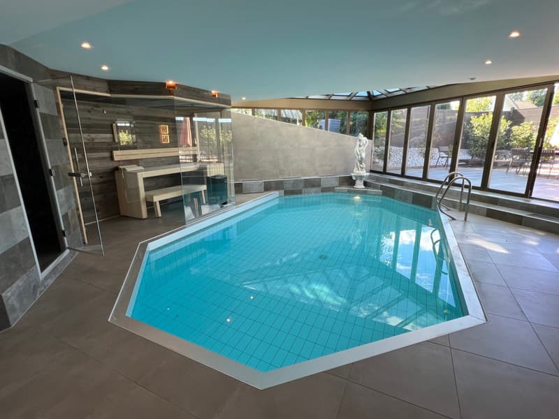Magnificent Vaudois villa 9.5 rooms 280 m2 very bright pool and spa (12)