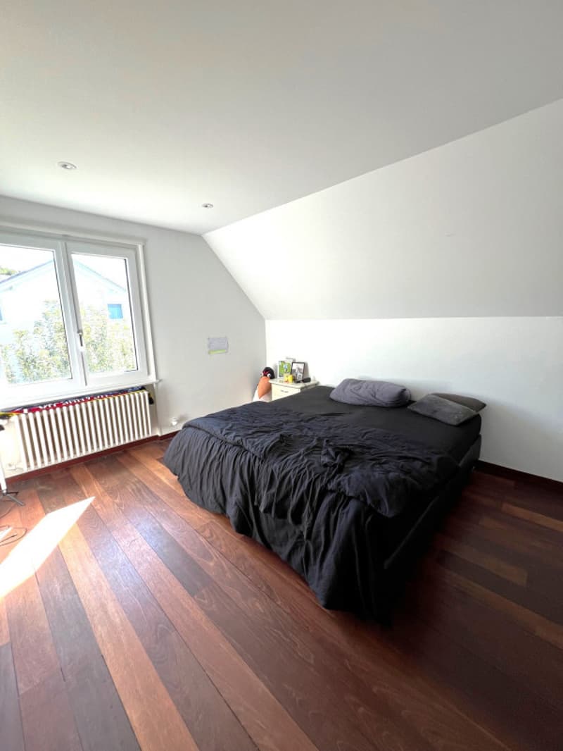 Magnificent Vaudois villa 9.5 rooms 280 m2 very bright pool and spa (11)