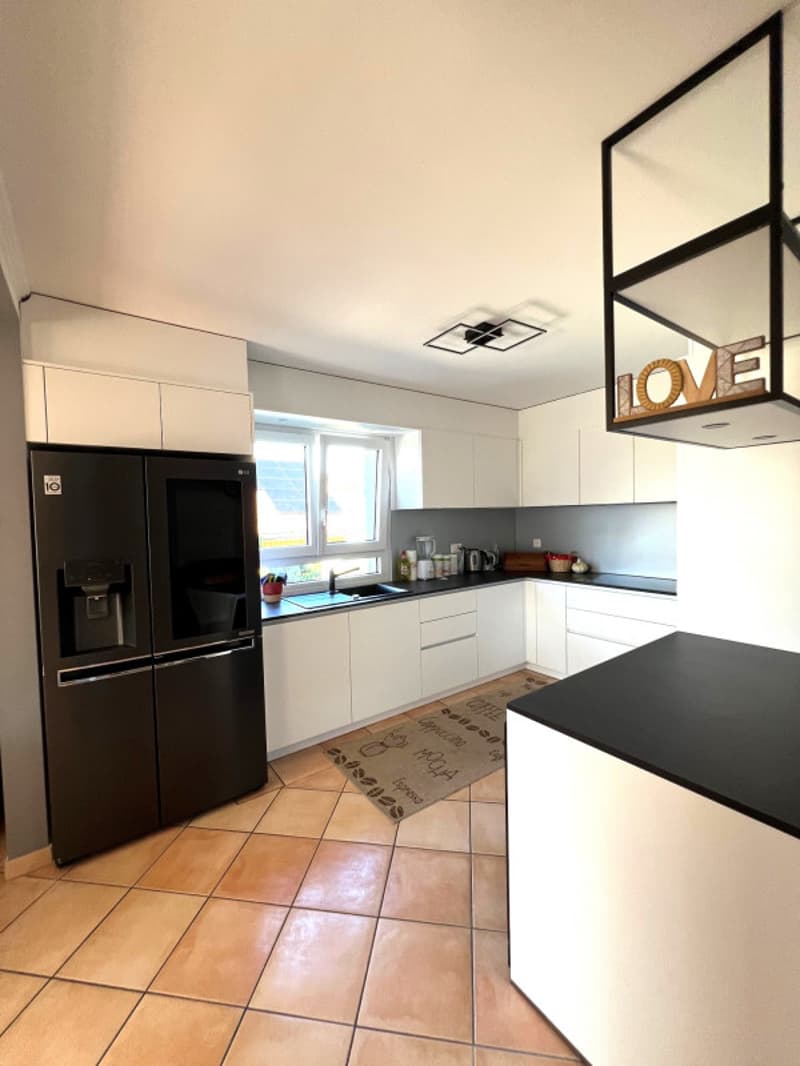 Magnificent Vaudois villa 9.5 rooms 280 m2 very bright pool and spa (5)