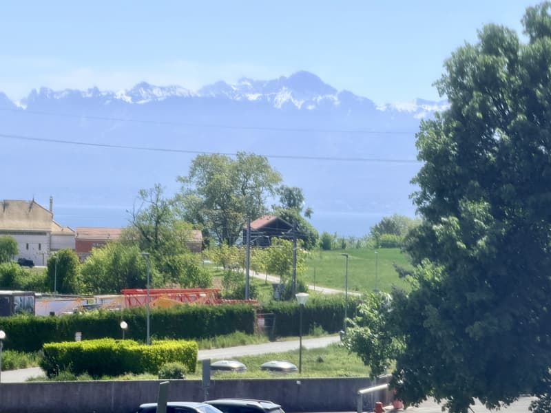 Renovated crossing apartment with balconies, 3 to 4 bedrooms (4)
