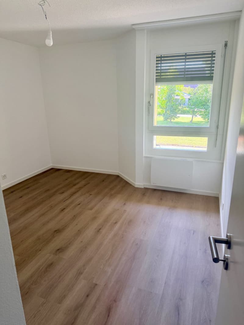 Renovated crossing apartment with balconies, 3 to 4 bedrooms (6)