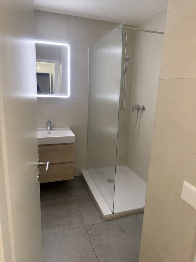 Renovated crossing apartment with balconies, 3 to 4 bedrooms (9)