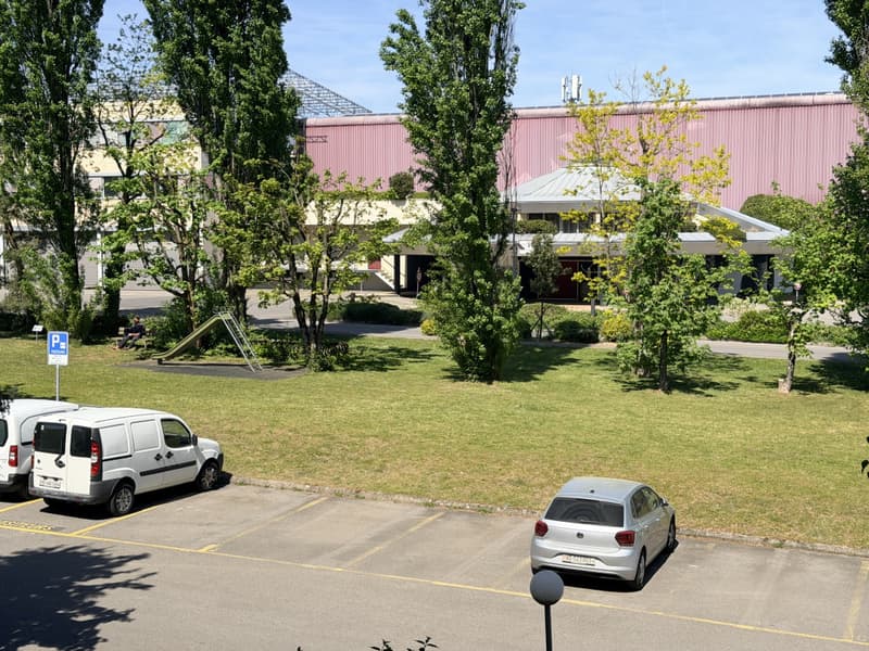 Renovated crossing apartment with balconies, 3 to 4 bedrooms (5)