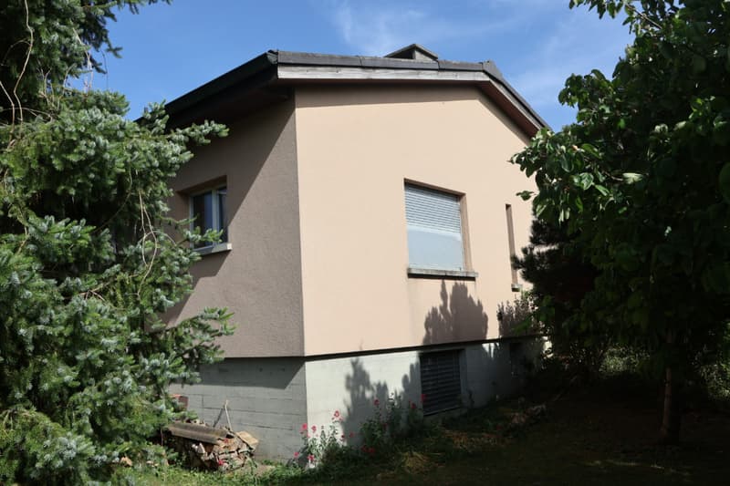 House with unique situation - a touch of countryside in the city (4)