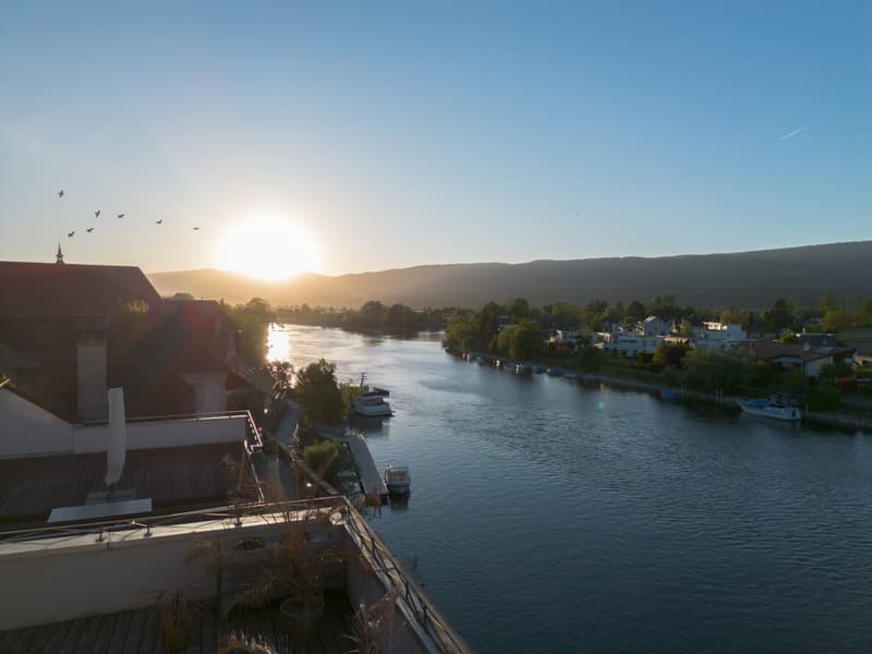 Living on the Aare (4)