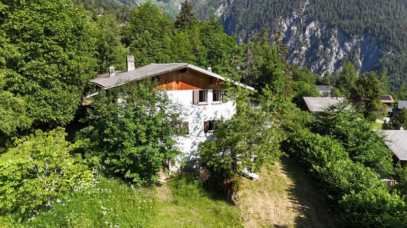Beautiful semi-detached house in a peaceful and green environment (10)