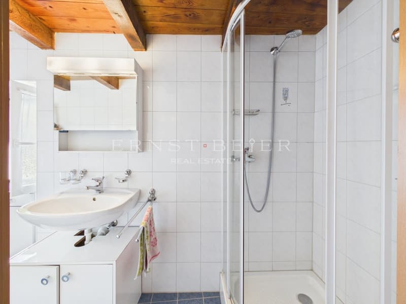 Beautiful semi-detached house in a peaceful and green environment (6)